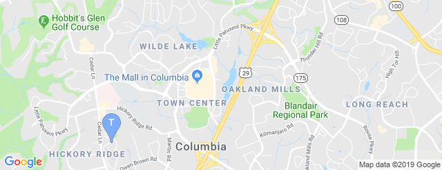 The Collective Encore